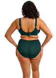 Elomi Cate Allure Full Cup Banded Bra - Deep Emerald - Pre-Order ONLY August