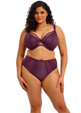 Elomi Kintai Plunge Bra - Blackberry- Pre-Order ONLY September