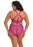 Elomi Matilda Plunge Bra - Hollyhock