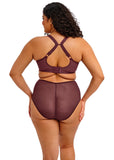 Elomi Matilda Plunge Bra - Sugarplum - Pre-Order ONLY September