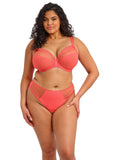 Elomi Matilda Plunge Bra - Sunset - Pre-Order ONLY January