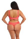 Elomi Matilda Thong - Sunset - Pre-Order ONLY January (Copy)