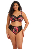 Elomi Morgan Banded Bra - Hot House - Pre-Order ONLY February