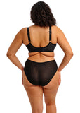 Elomi Reja Plunge Bra - Black - Pre-Order ONLY August