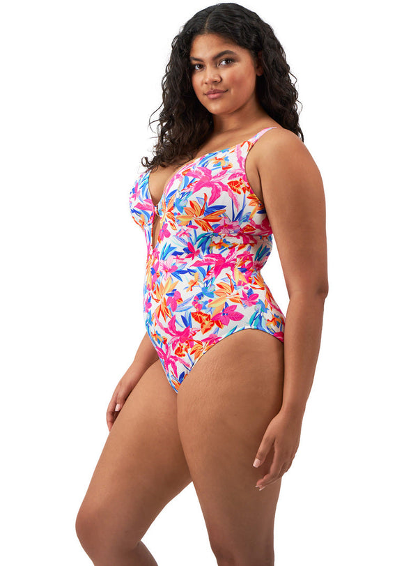 Elomi plus size best sale swimwear