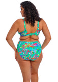 Elomi Swim Toyama Tides Plunge Bikini Top