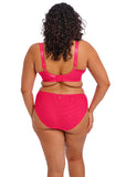 Elomi Teagan High Leg Brief - Azalea - Pre-Order ONLY May