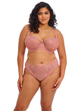 Elomi Teagan Padded Half Cup Bra - Ash Rose - Pre-Order ONLY May