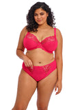 Elomi Teagan Plunge Bra - Azalea - Pre-Order ONLY May