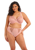 Elomi Zarla Banded Bra - Rose Bud - Pre-Order ONLY May