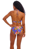 Freya Tiger Valley Classic Bikini Brief - Pre-Order ONLY May
